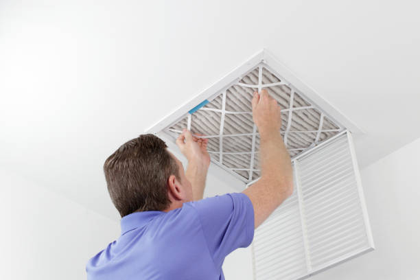 Best Air Duct Mold Removal  in Adel, IA